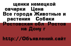 щенки немецкой овчарки › Цена ­ 15 000 - Все города Животные и растения » Собаки   . Ростовская обл.,Ростов-на-Дону г.